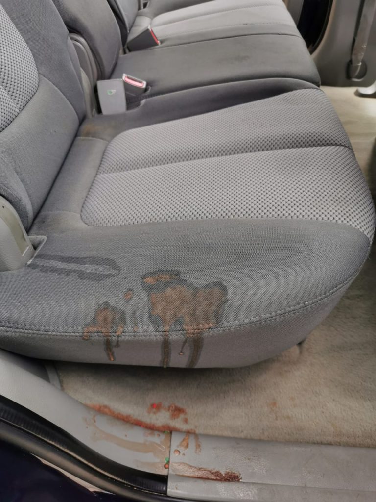 limpieza de interior de vehículos